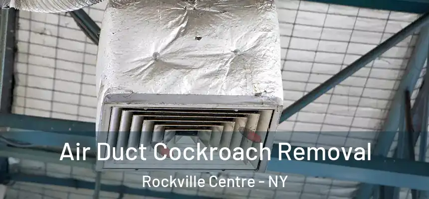 Air Duct Cockroach Removal Rockville Centre - NY
