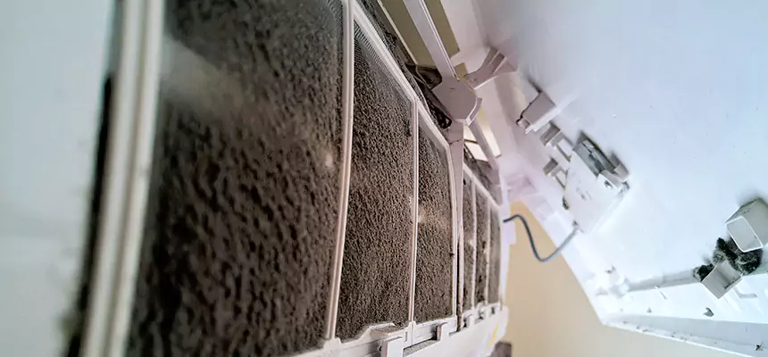 Preventive Air Duct Bacteria Removal in Rockville Centre