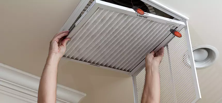 Preventive Cockroach-Proofing for Ducts in Rockville Centre