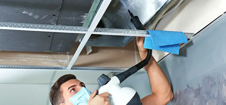 Our Air Duct Rodent Removal Services in Rockville Centre, NY