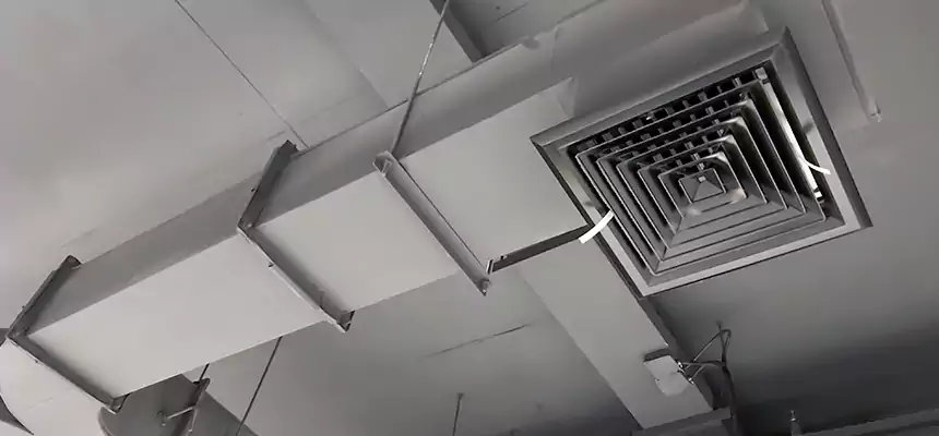 Restorative Allergy Relief Vent Cleaning – Coil, Blower & Housing Detail in Rockville Centre