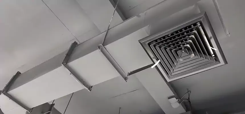 Our Pest Removal From Ducts Services in Rockville Centre, NY