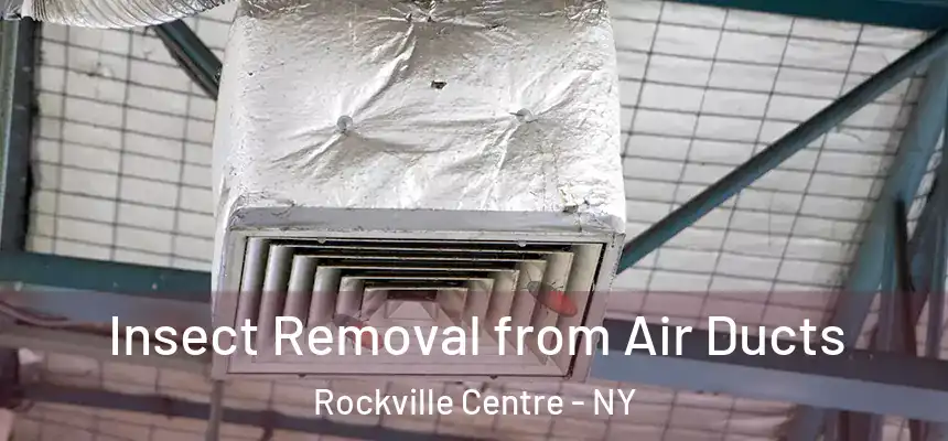 Insect Removal from Air Ducts Rockville Centre - NY