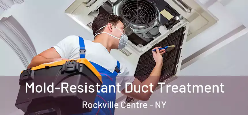  Mold-Resistant Duct Treatment Rockville Centre - NY