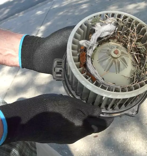 About Air Duct Mice Removal in Rockville Centre, NY