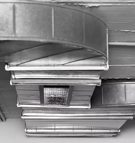 Professional Air Duct Pest Removal in Rockville Centre, NY