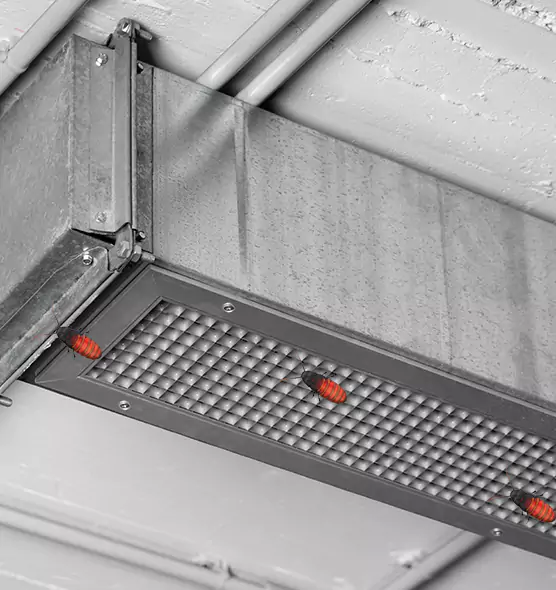 Affordable Insect Removal from Air Ducts in Rockville Centre, NY
