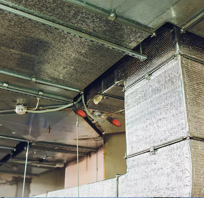 Why Homeowners & Businesses Trust Us in Rockville Centre, NY?