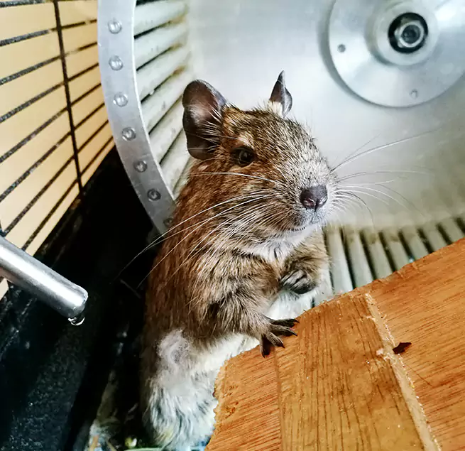 Why Homeowners & Businesses Trust Us Rockville Centre, NY?